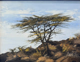 “Acacia Breezes” by Bettina Roedling