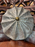 Tikar Tribe Oyster Shield