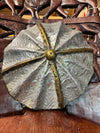 Tikar Tribe Oyster Shield