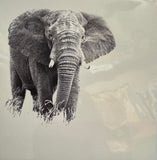 Creative Nature Card