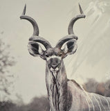 Creative Nature Card