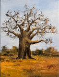 “Baobab in Bloom” by Bettina Roedling