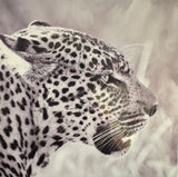 Creative Nature Card