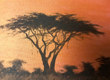 “Acacia at Sunset” by Bettina Roedling