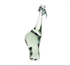 Ngwenya Glass Giraffe