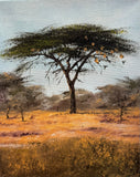 “Shade of the Acacia” by Bettina Roedling