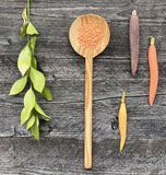 Modern Cooking Spoon of Olivewood - 12”