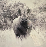 Creative Nature Card