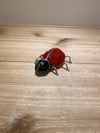 Archie’s Beaded Ladybug