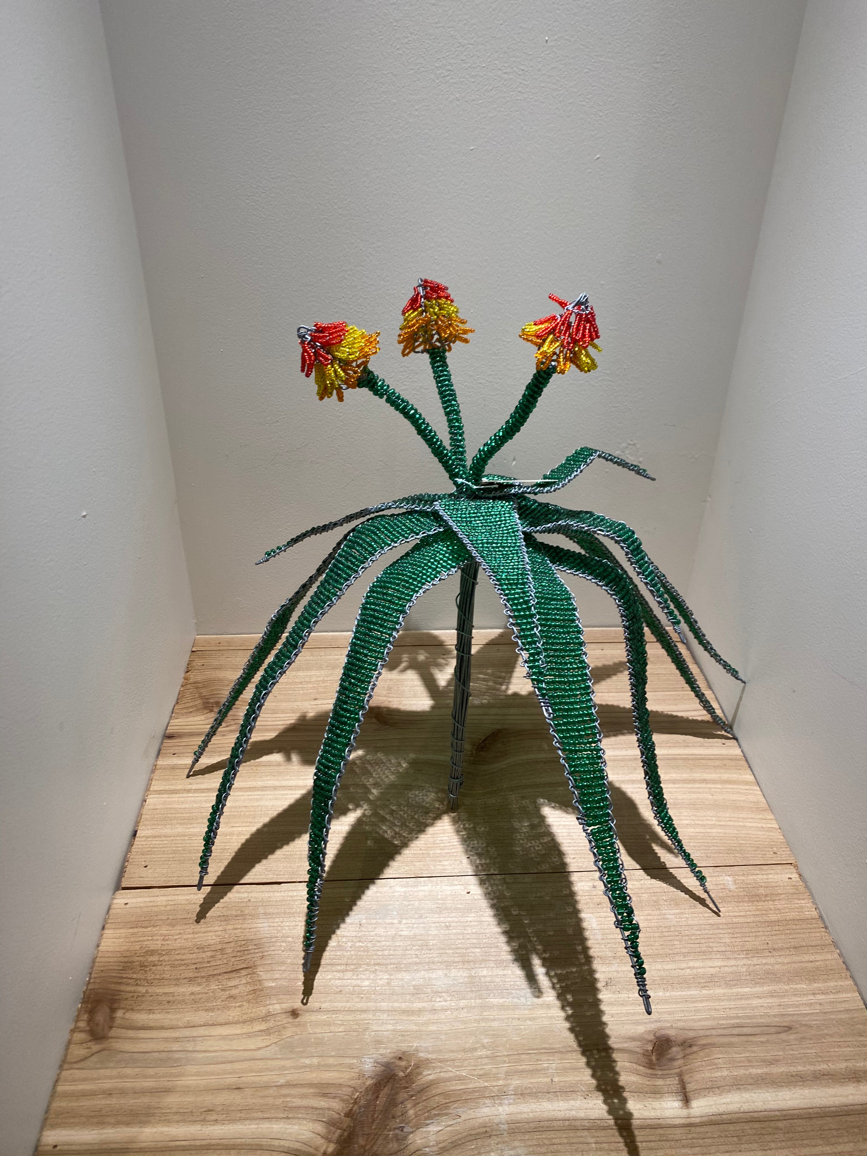 Archie's Beaded Aloe Plant – Amazwi Contemporary Art