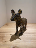 AM Wild Dog by Archie Mutsiko