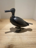 “Duckling” by James Suraji