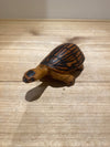 Tortoise of Olivewood