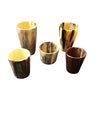 HD Vase/Utensil Holder of Ankole Horn with Wood Base