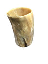 HD Vase/Utensil Holder of Ankole Horn with Wood Base