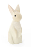 Bunny Mama of Kisii