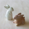 Natural Bunny of Kisii