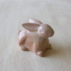 Natural Bunny of Kisii