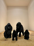 Gorilla of Painted Jacaranda