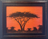 “Acacia Sunset” by Bettina Roedling