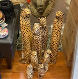 Sitting Cheetah of Jacaranda