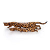 Stalking Leopard